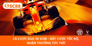 Tin tức SC88 – Kinh Nghiệm Chơi Cá Cược Hiệu Quả 2026 - rilusa