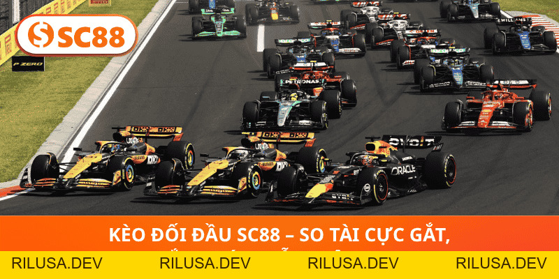 Cá Cược Đua Xe SC88 – Đặt Cược Tốc Độ, Nhận Thưởng Tức Thì! - rilusa