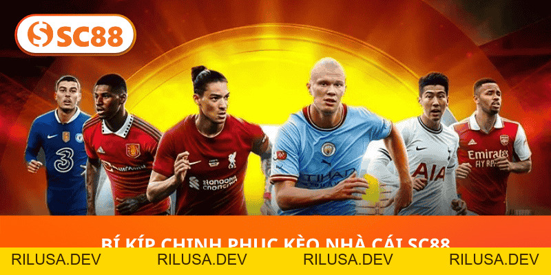 Hướng Dẫn Toàn Diện Kèo Nhà Cái SC88 Cho Người Mới - rilusa