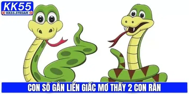 Mơ Thấy 2 Con Rắn - Giải Mã Điềm Báo Và Con Số May Mắn - rilusa