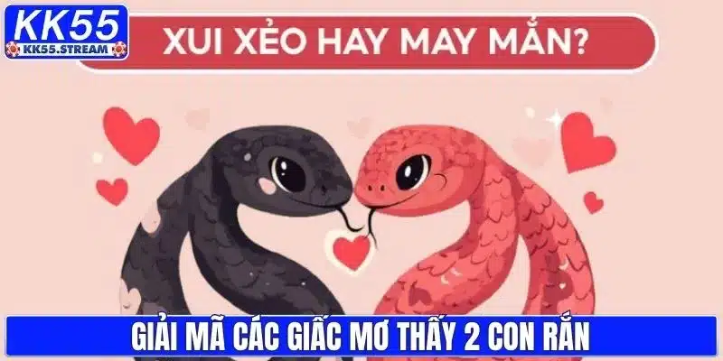Mơ Thấy 2 Con Rắn - Giải Mã Điềm Báo Và Con Số May Mắn - rilusa