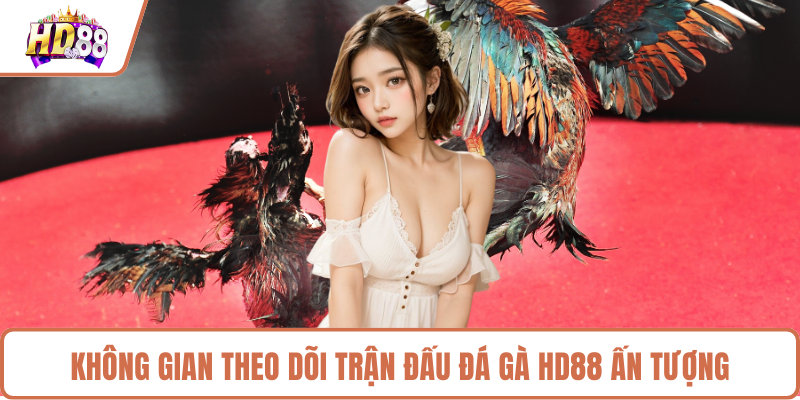 Đá Gà HD88 Mang Đến Những Trận Đấu Đỉnh Cao Kịch Tính - rilusa