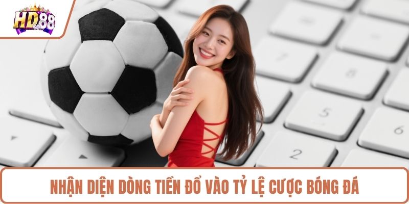 Tỷ Lệ Cá Cược Bí Quyết Làm Chủ Mọi Sàn Đấu Đỉnh Cao - rilusa