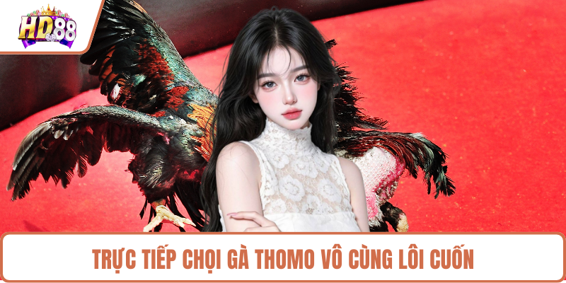 Đá Gà HD88 Mang Đến Những Trận Đấu Đỉnh Cao Kịch Tính - rilusa