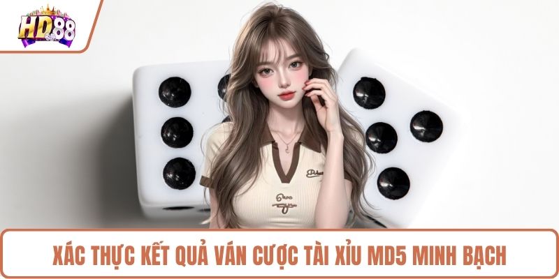 Tài Xỉu MD5 Chinh Phục Công Nghệ Mã Hóa Siêu Đỉnh Cao - rilusa